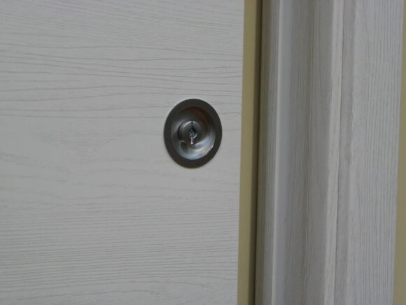 Porta interna MICROLAMINATA, battente reversibile e scorrevole, BIANCO e OLMO BIANCO-1291