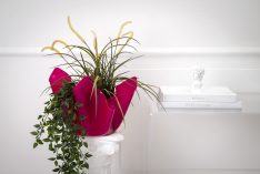 Vaso in plexiglass - Drappeggi - vari colori