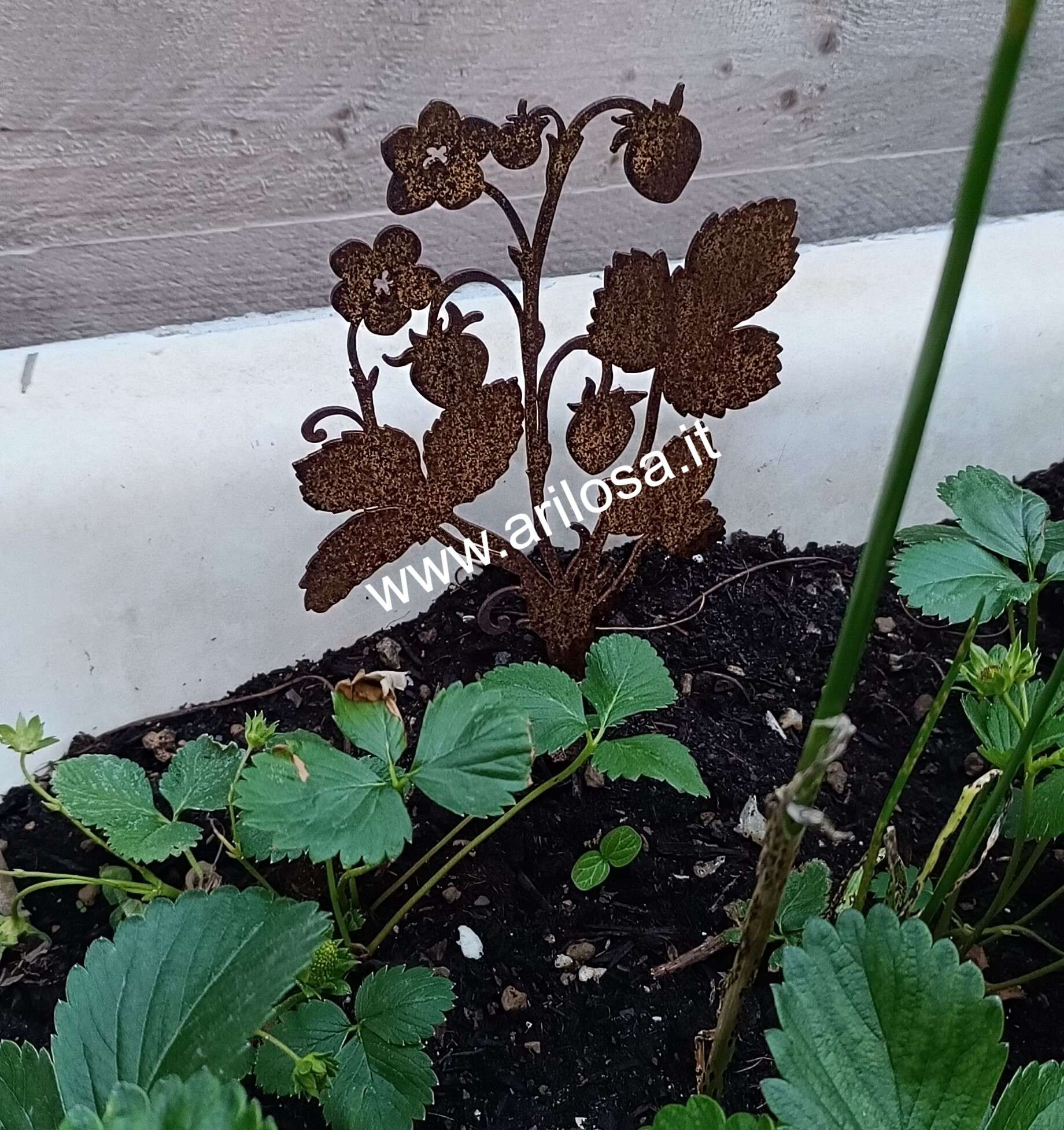 Decorazione in Ferro arrugginito - Piantina di fragole con spuntone - immagine 2